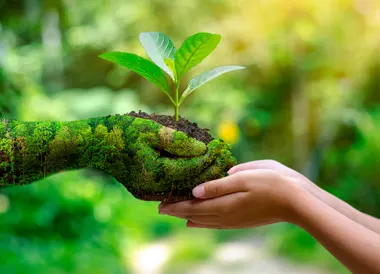 Respect de l’environnement